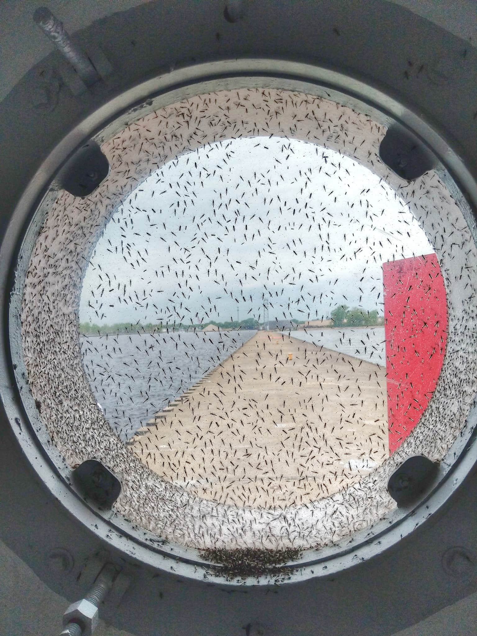 Camper-submitted photo at Kleinke Park Campground near Sister Bay, WI