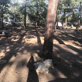 Review photo of Mather Campground — Grand Canyon National Park by Krista T., June 13, 2019