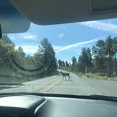 Review photo of Mather Campground — Grand Canyon National Park by Krista T., June 13, 2019