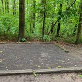 Review photo of Blueberry Patch Campground — Green Mountain & Finger Lakes National Forests by Neil H., June 14, 2019