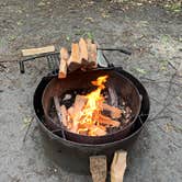 Review photo of Blueberry Patch Campground — Green Mountain & Finger Lakes National Forests by Neil H., June 14, 2019