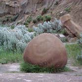 Review photo of Juniper Campground — Theodore Roosevelt National Park by jasmine L., September 1, 2016
