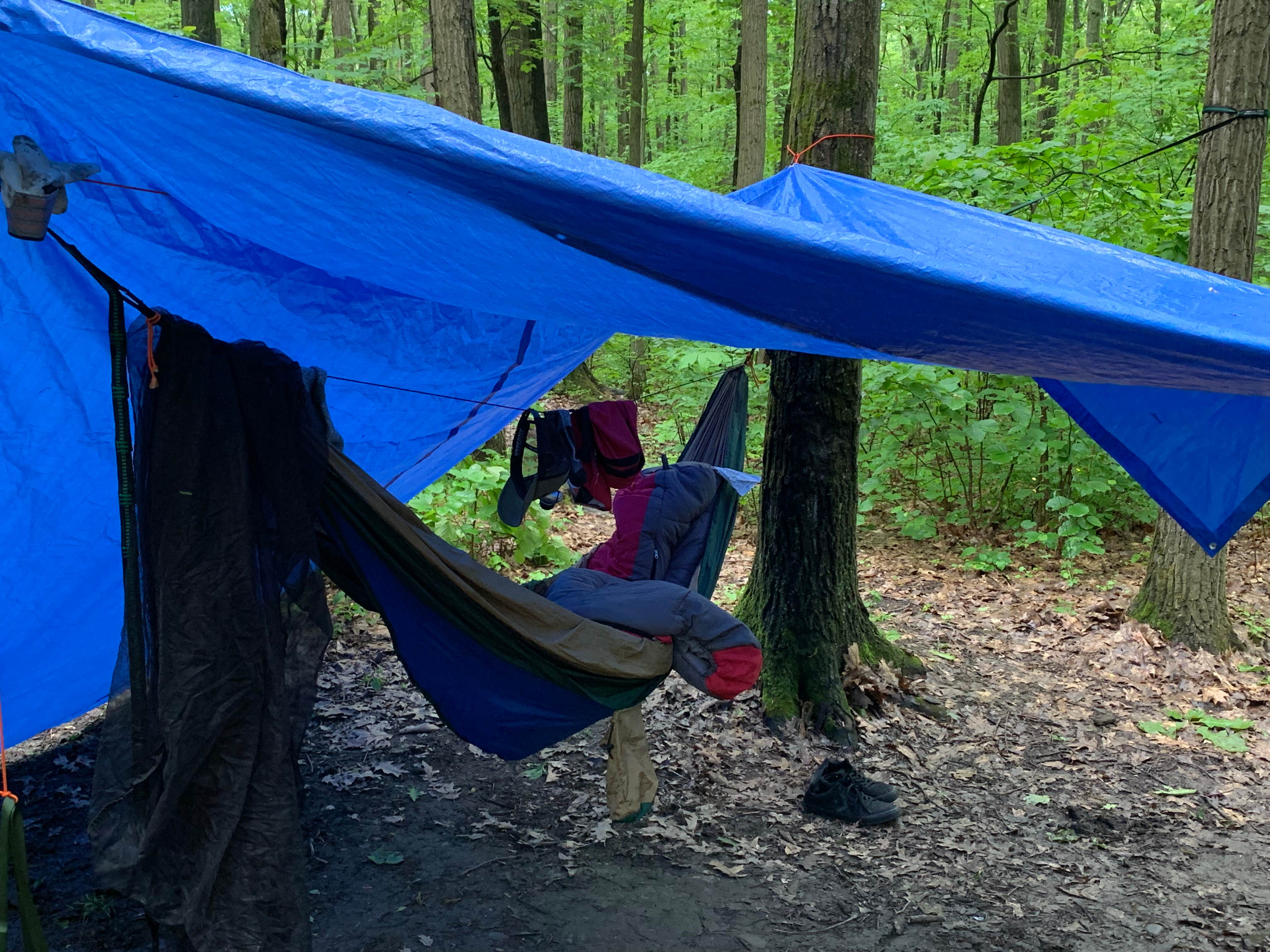Neil H.'s photo at Blueberry Patch Campground — Green Mountain & Finger Lakes National Forests near Burdett, NY