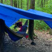 Review photo of Blueberry Patch Campground — Green Mountain & Finger Lakes National Forests by Neil H., June 14, 2019