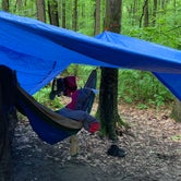 Review photo of Blueberry Patch Campground by Neil H., June 14, 2019
