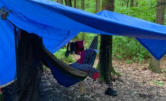 Neil H.'s photo at Blueberry Patch Campground — Green Mountain & Finger Lakes National Forests near Watkins Glen, NY