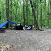 Review photo of Blueberry Patch Campground — Green Mountain & Finger Lakes National Forests by Neil H., June 14, 2019