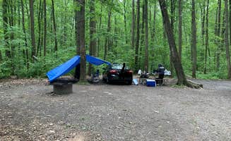 Neil H.'s photo at Blueberry Patch Campground — Green Mountain & Finger Lakes National Forests near Montour Falls, NY