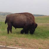 Review photo of Juniper Campground — Theodore Roosevelt National Park by jasmine L., September 1, 2016
