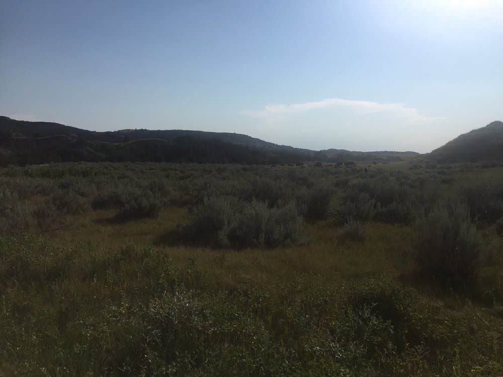 Juniper Campground — Theodore Roosevelt National Park