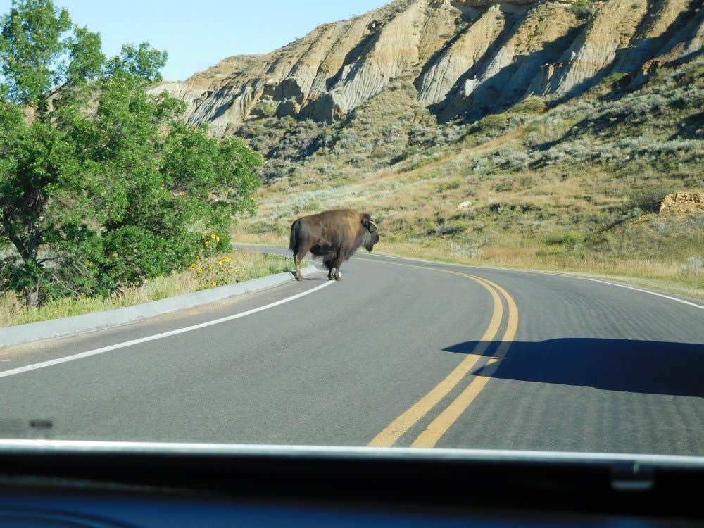 Camper-submitted photo at Juniper Campground — Theodore Roosevelt National Park in North Dakota