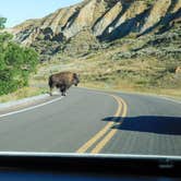 Review photo of Juniper Campground — Theodore Roosevelt National Park by jasmine L., September 1, 2016