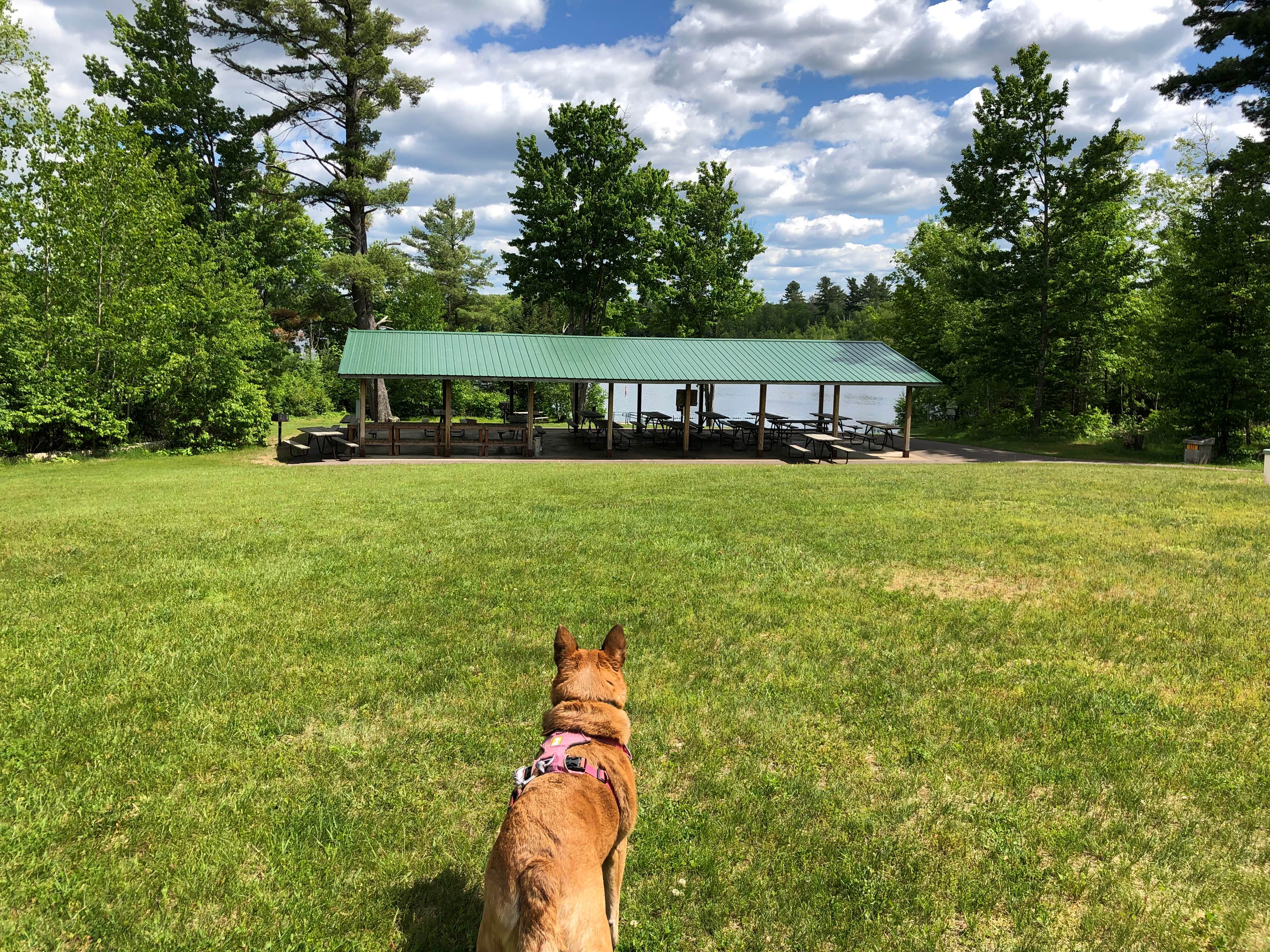 Camper submitted image from Smith Lake County Park - 4