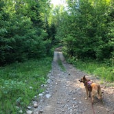 Review photo of Smith Lake County Park by Art S., June 14, 2019