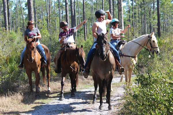 Amberay M.'s photo of camping with a horse at Goethe Trailhead Ranch Campground near Archer, FL