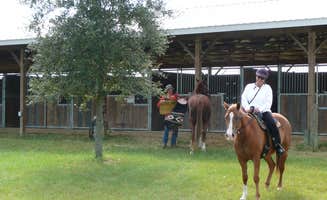 Amberay M.'s photo of camping with a horse at Goethe Trailhead Ranch Campground near Micanopy, FL