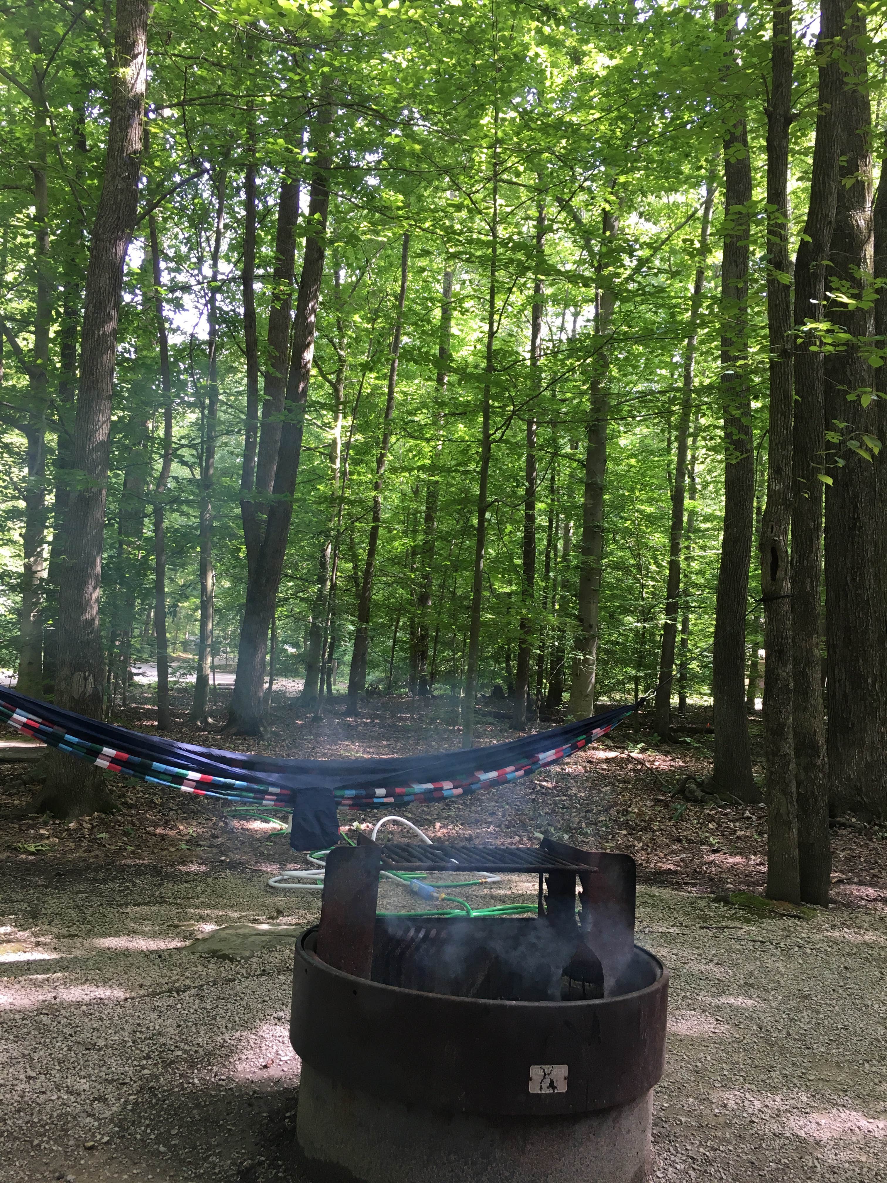 Camper submitted image from Twin Knobs Recreation Area - 4