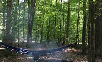 Aaron I.'s photo at Twin Knobs Recreation Area near Daniel Boone National Forest