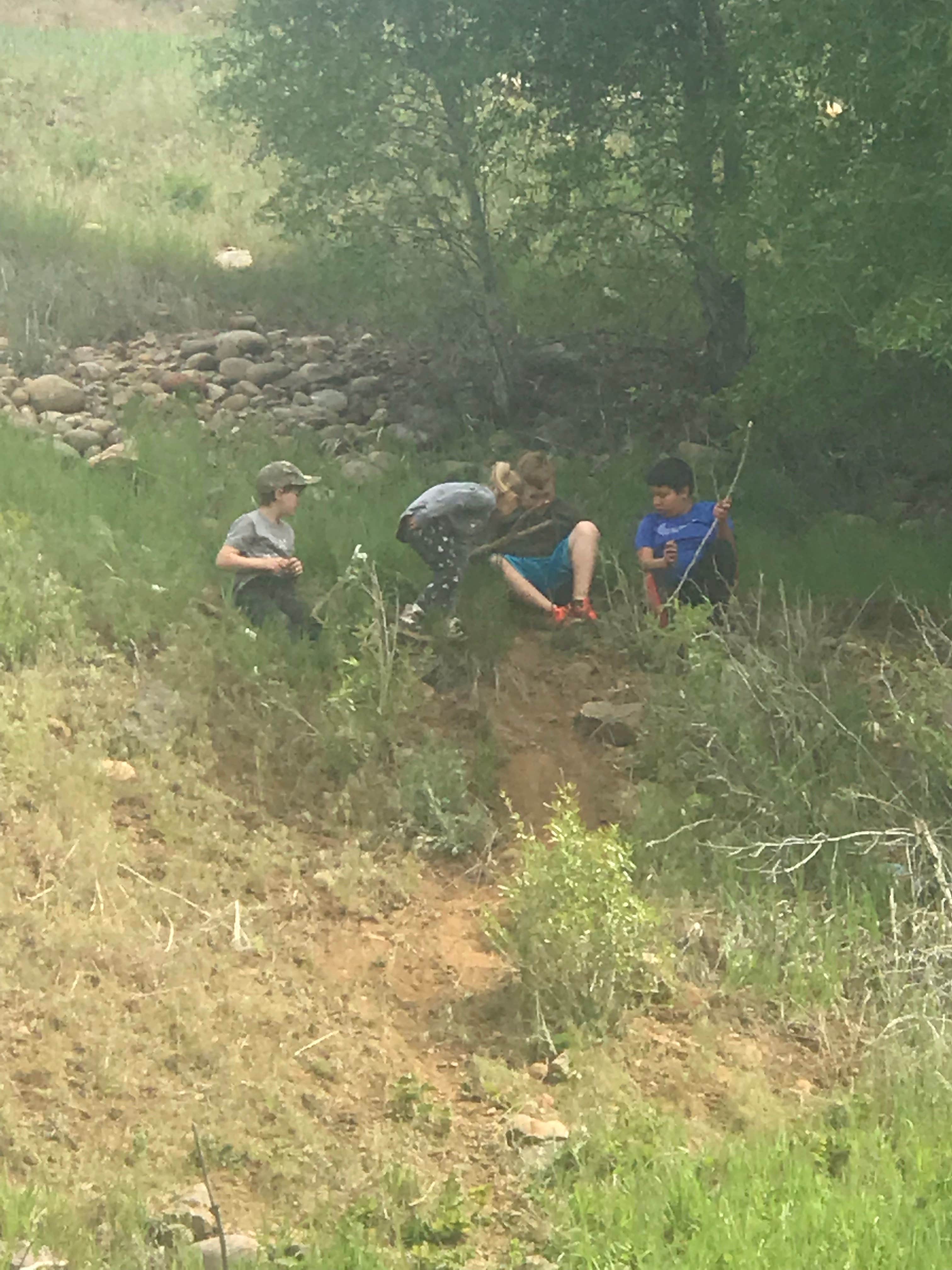 Camper-submitted photo at Weber Memorial Park near Huntsville, UT