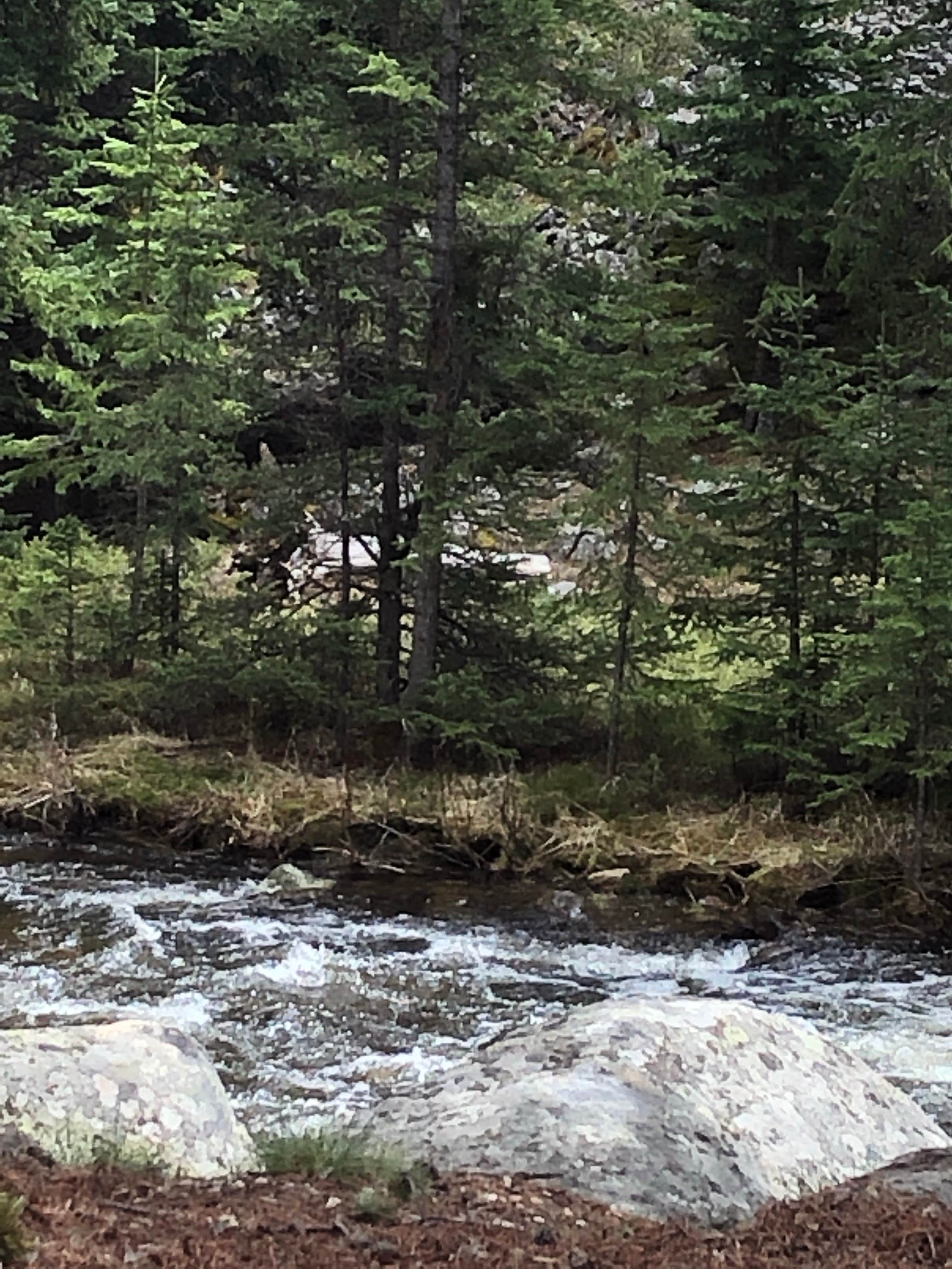 Camper-submitted photo at South Fork (wyoming) near Saddlestring, WY