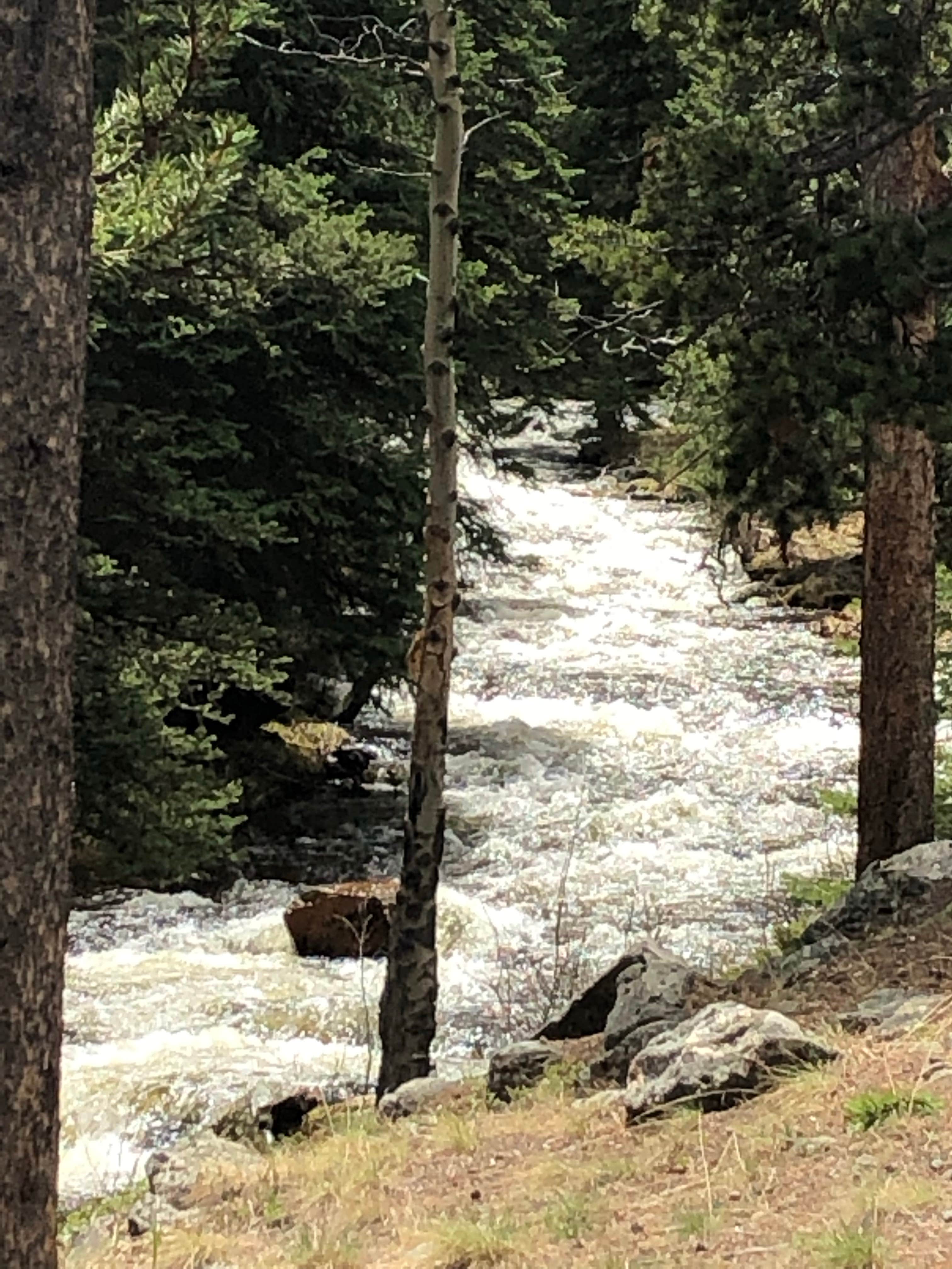 Camper-submitted photo at South Fork (wyoming) near Saddlestring, WY