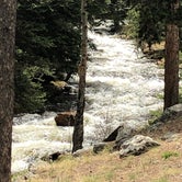 Review photo of South Fork by Dale G., June 14, 2019
