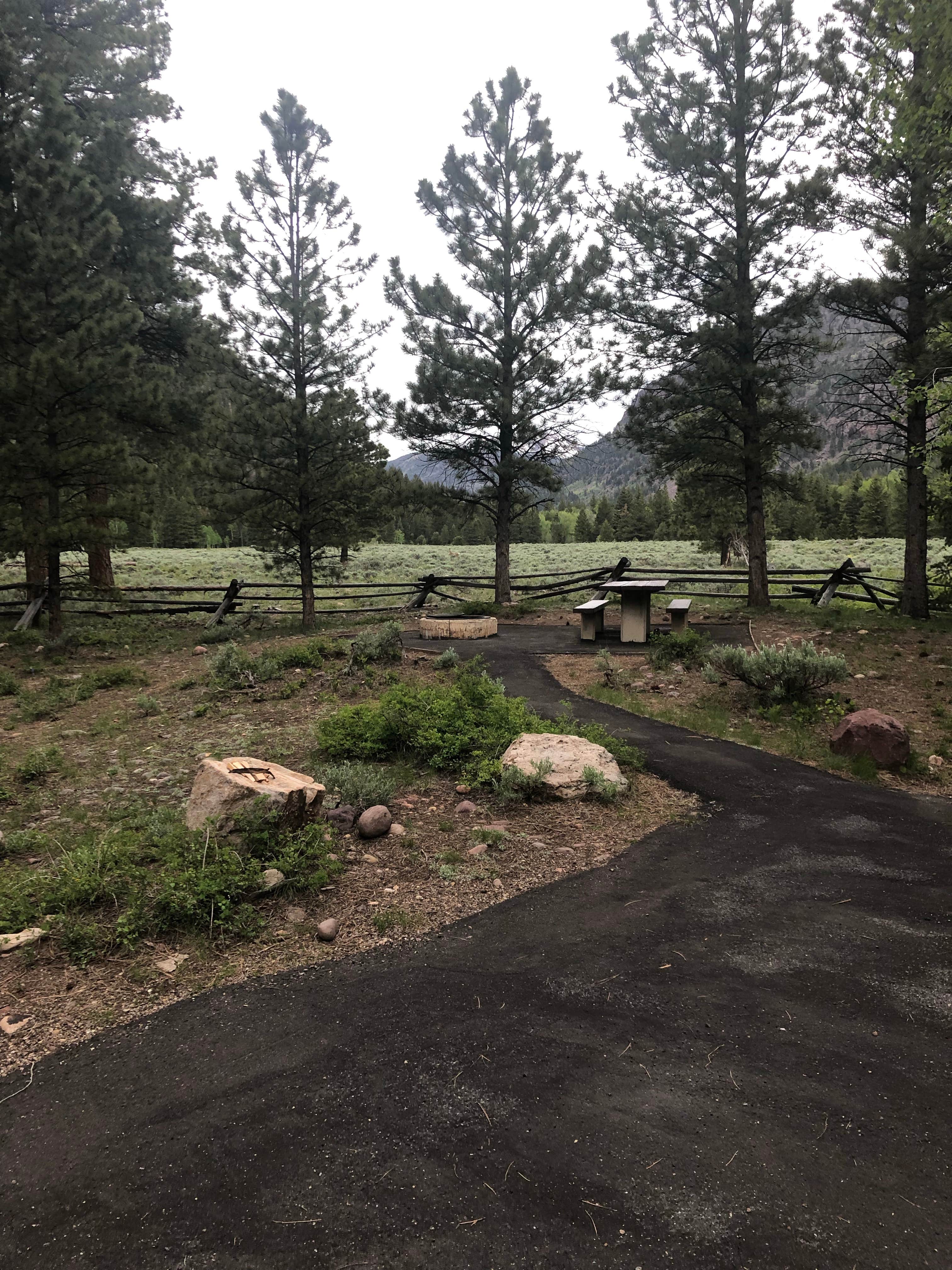 Camper submitted image from Yellow Pine Campground (Ut) — Uinta Wasatch Cache National Forest - 5