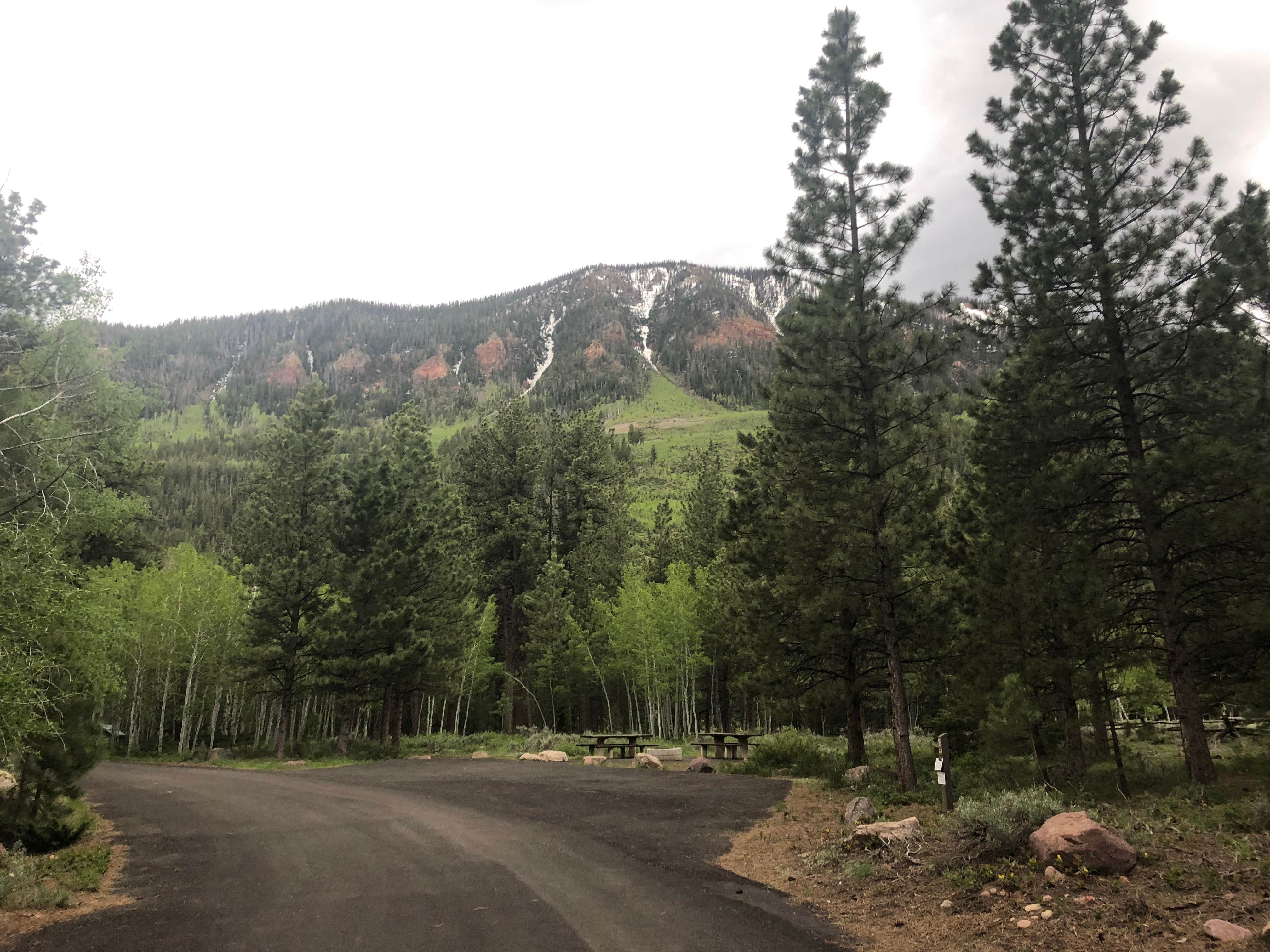 Camper submitted image from Yellow Pine Campground (Ut) — Uinta Wasatch Cache National Forest - 4