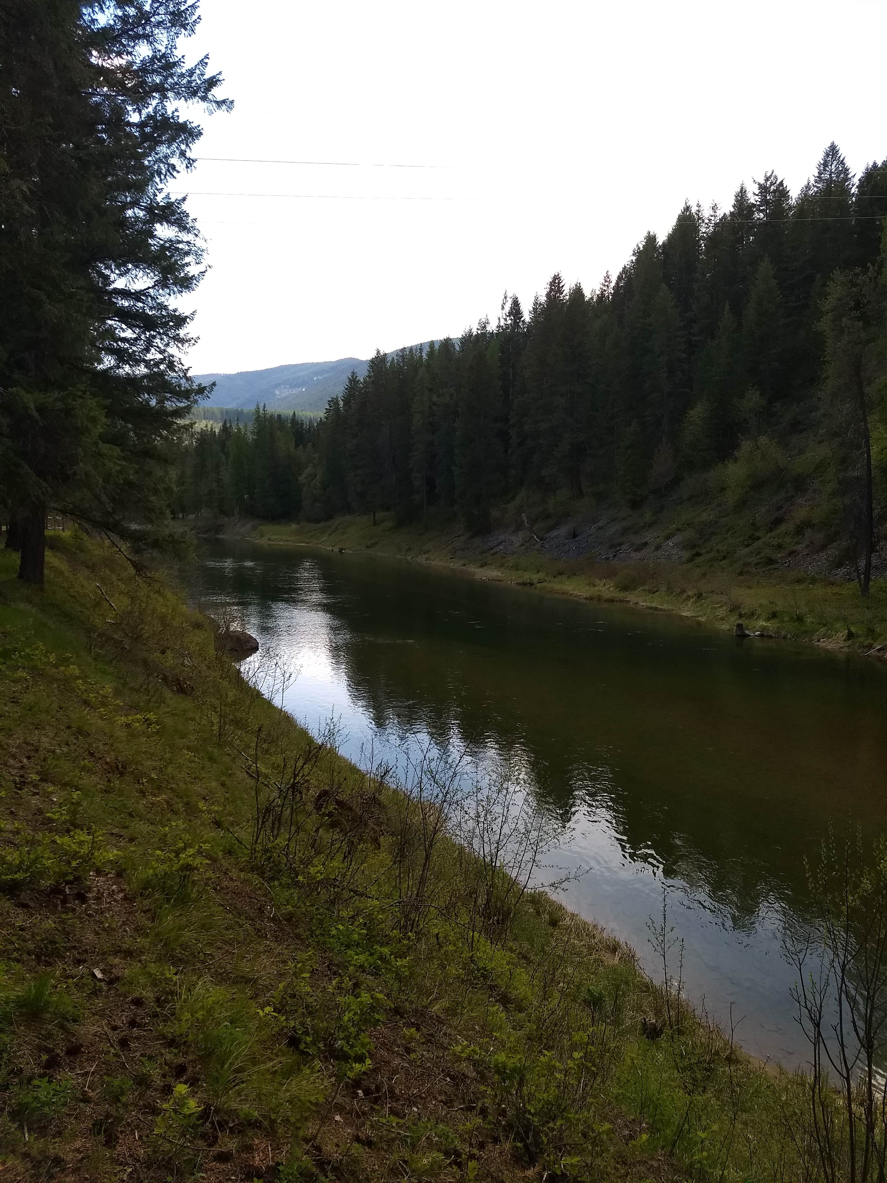 Camper-submitted photo at Bull River Campground near Noxon, MT