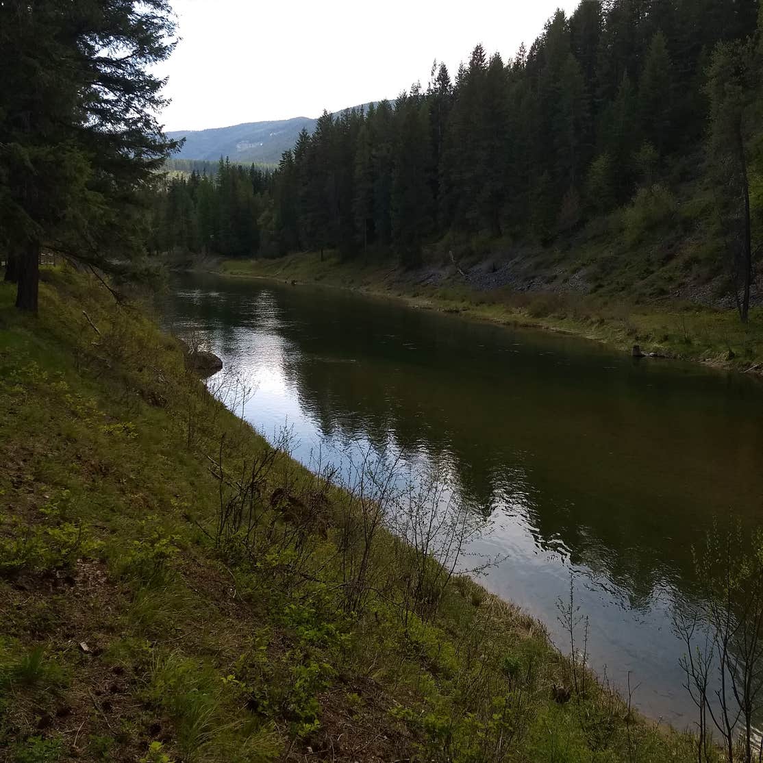 Bull River Campground Camping The Dyrt