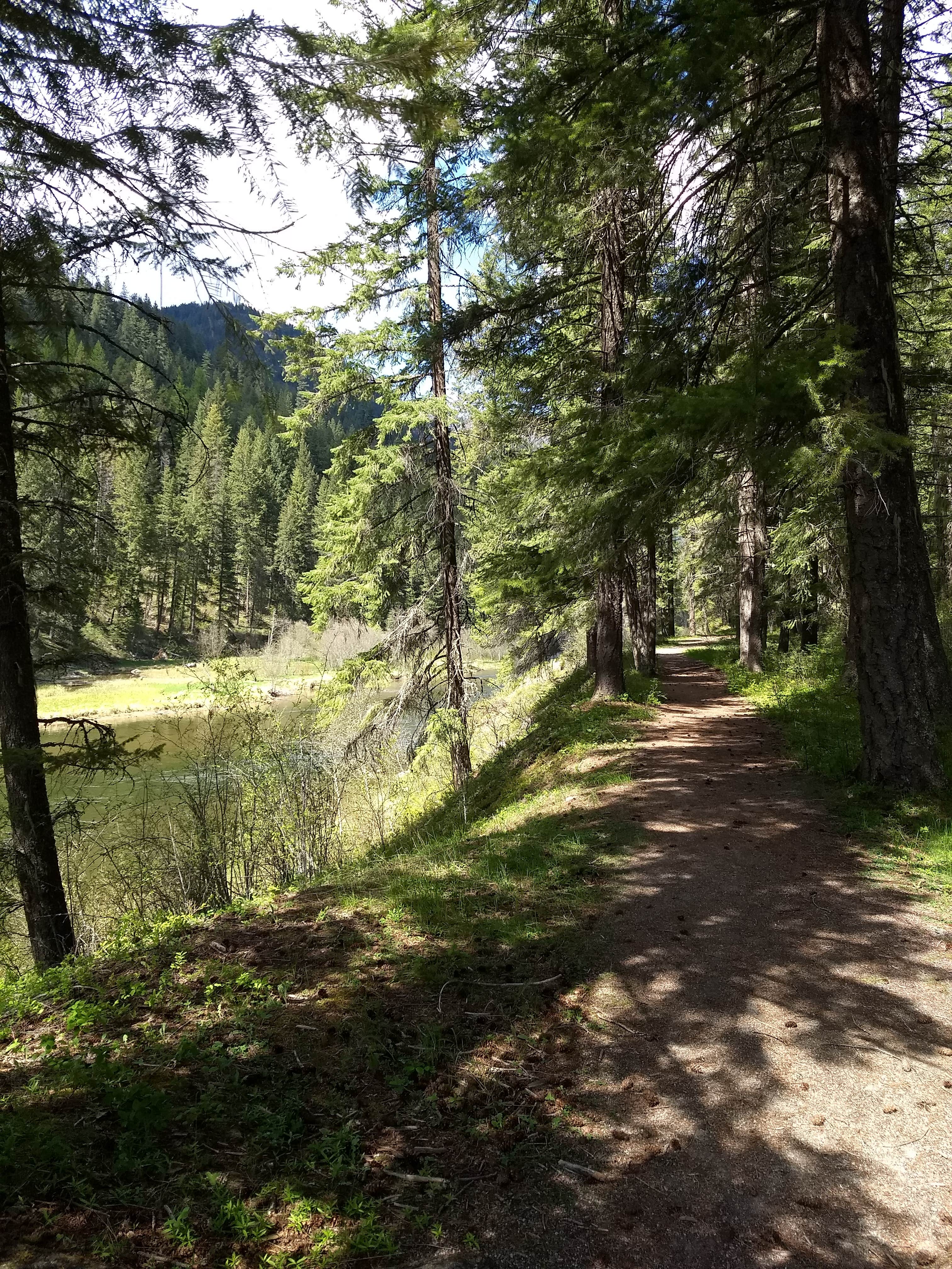 Camping near Bad Medicine Campground: Bull River Campground, Noxon, Montana