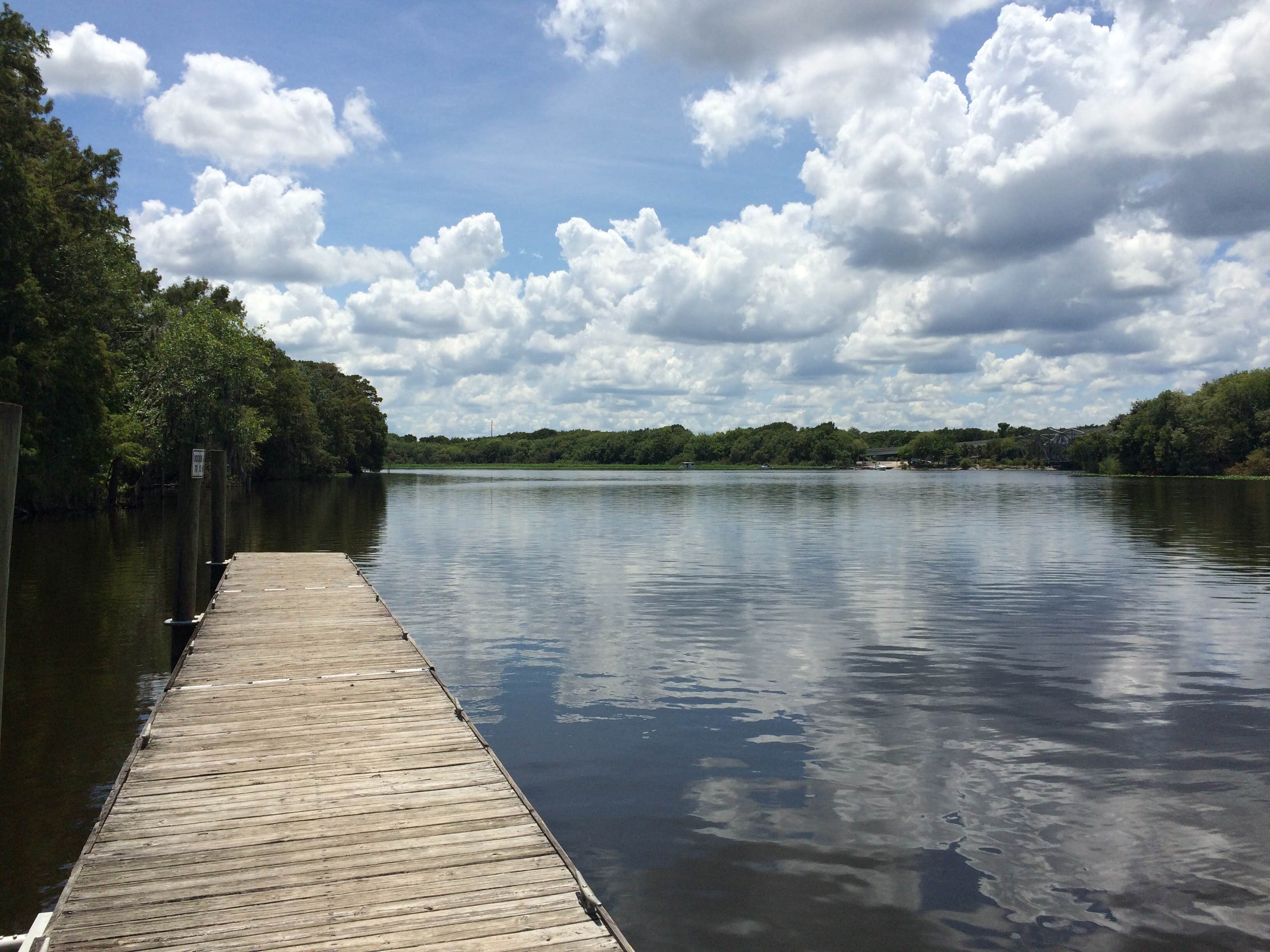 Camper submitted image from Lake Monroe Park - 3