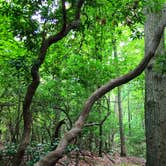 Review photo of Elk Neck State Park Campground by David G., June 15, 2019