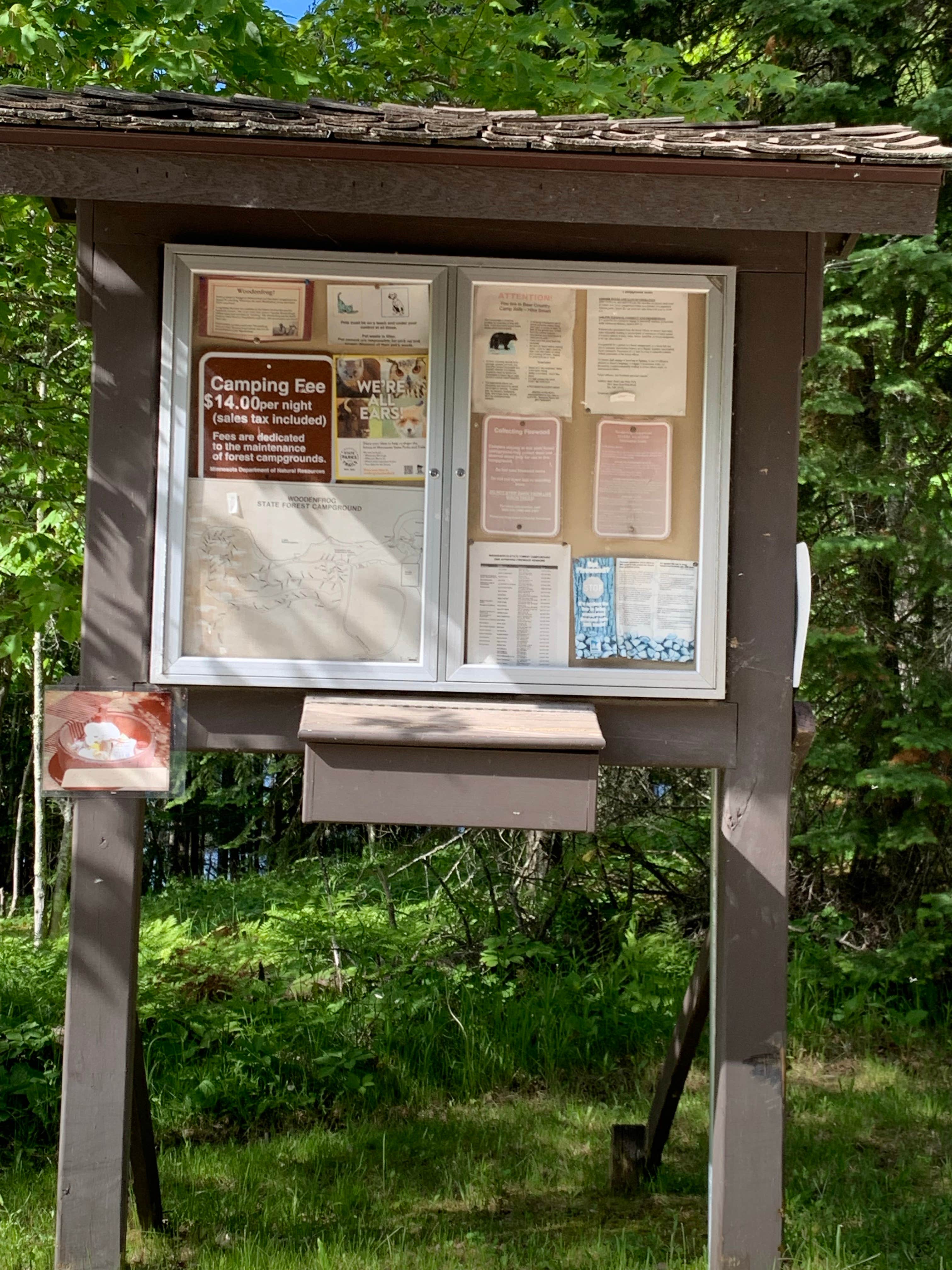Camper submitted image from Woodenfrog Campground - 5