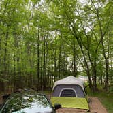 Review photo of Woodenfrog Campground by Rico R., June 15, 2019