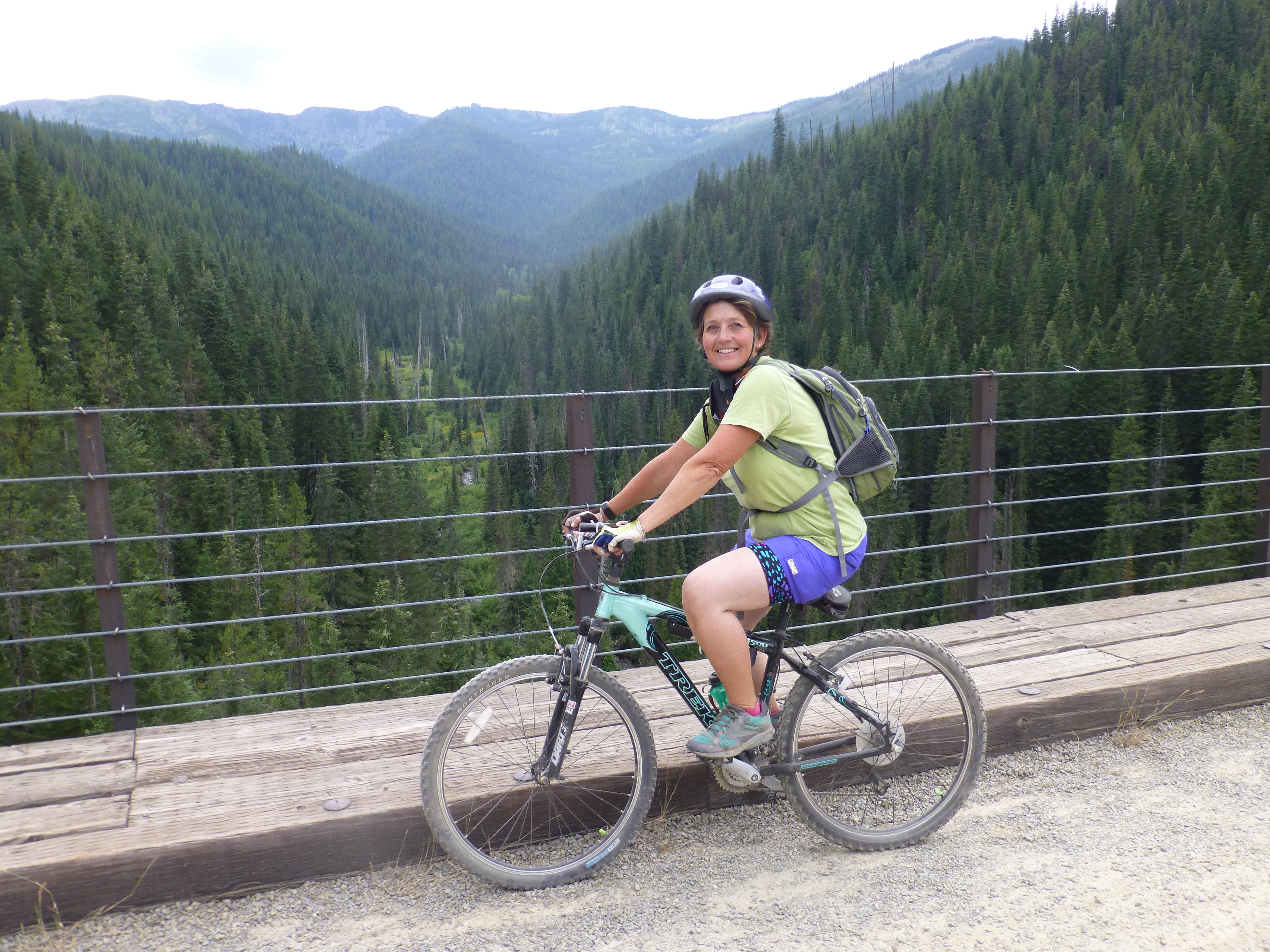 Telic mountain best sale bike