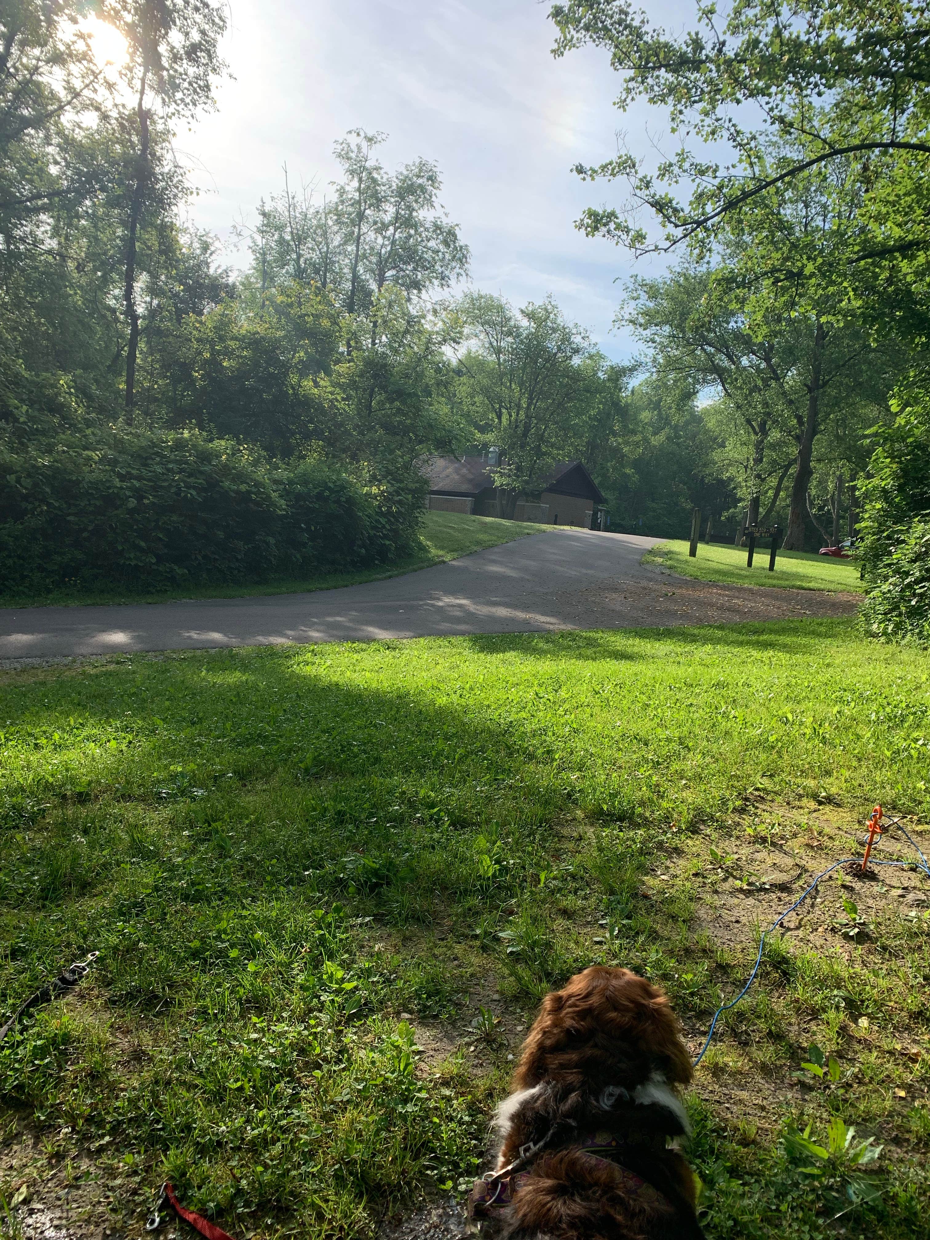 Tiffany  W.'s photo of camping with pets at Pokagon State Park Campground near Orland, IN