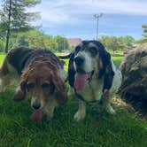 Review photo of Pokagon State Park Campground by Tiffany  W., June 15, 2019