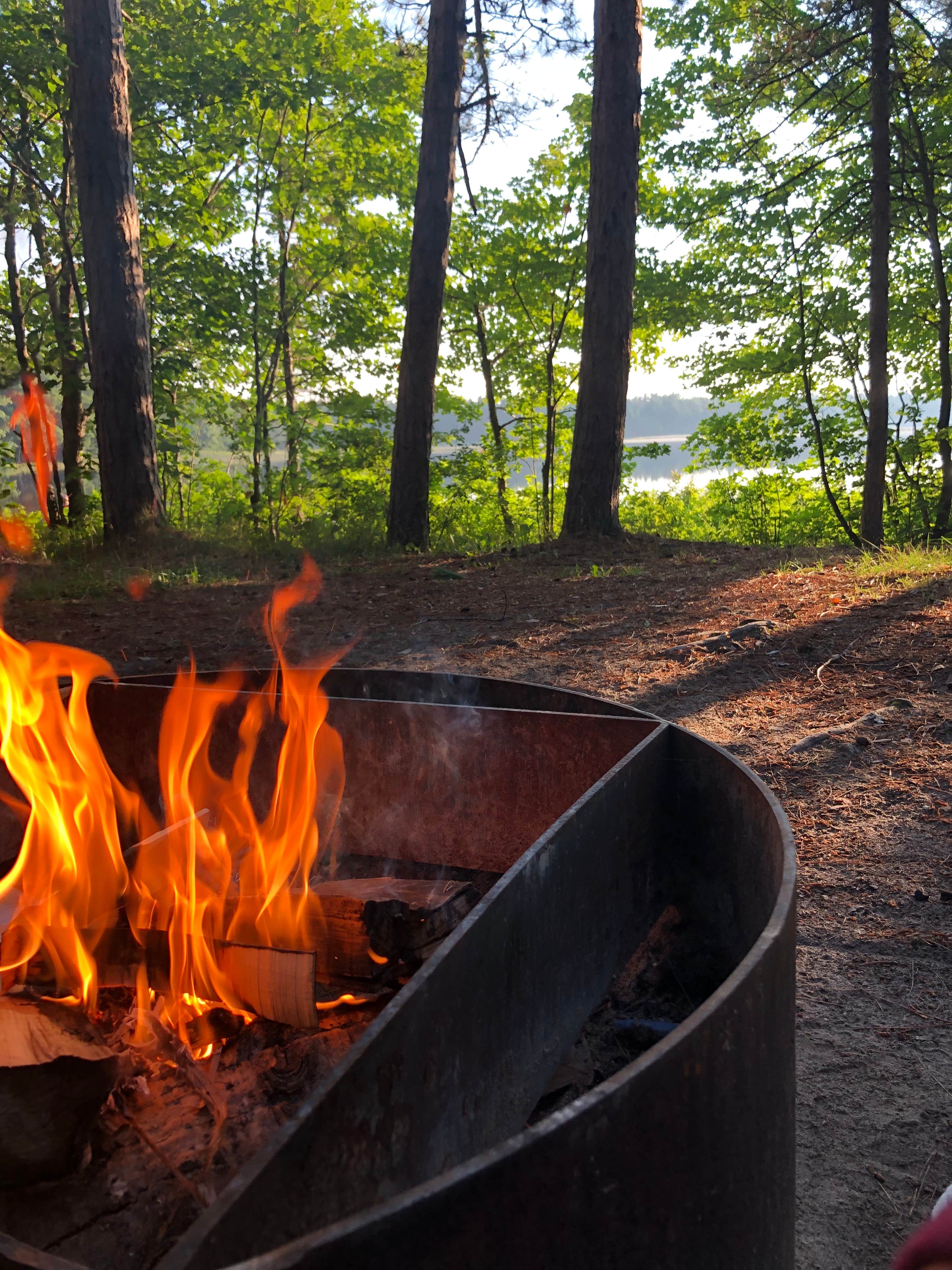Camper submitted image from Bodi Lake State Forest Campground - 2
