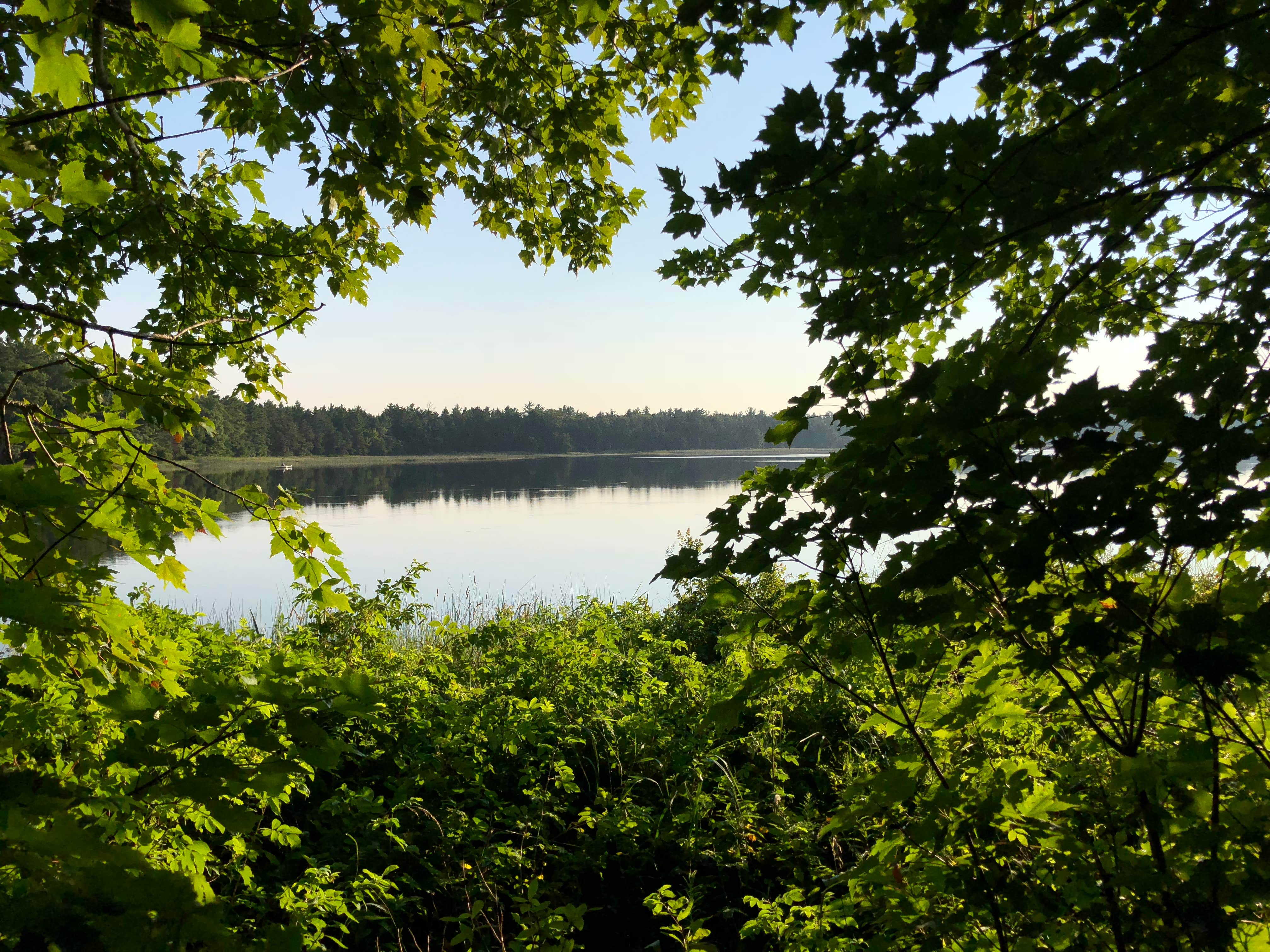 Camper submitted image from Bodi Lake State Forest Campground - 3