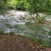 Review photo of Elkmont Campground — Great Smoky Mountains National Park by Nate H., June 15, 2019