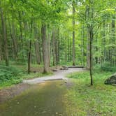 Review photo of Elkmont Campground — Great Smoky Mountains National Park by Nate H., June 15, 2019