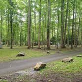 Review photo of Elkmont Campground — Great Smoky Mountains National Park by Nate H., June 15, 2019