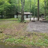 Review photo of Elkmont Campground — Great Smoky Mountains National Park by Nate H., June 15, 2019