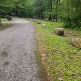 Review photo of Elkmont Campground — Great Smoky Mountains National Park by Nate H., June 15, 2019