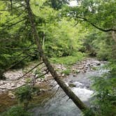 Review photo of Elkmont Campground — Great Smoky Mountains National Park by Nate H., June 15, 2019