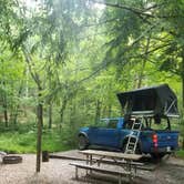 Review photo of Elkmont Campground — Great Smoky Mountains National Park by Nate H., June 15, 2019