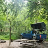 Review photo of Elkmont Campground by Nate H., June 15, 2019