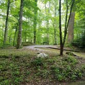 Review photo of Elkmont Campground — Great Smoky Mountains National Park by Nate H., June 15, 2019