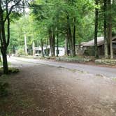 Review photo of Elkmont Campground — Great Smoky Mountains National Park by Nate H., June 15, 2019